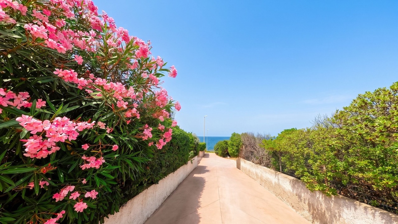 Photo of Others in Castelsardo