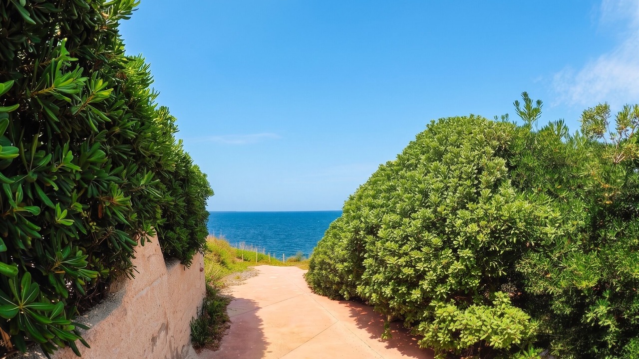 Photo of Others in Castelsardo