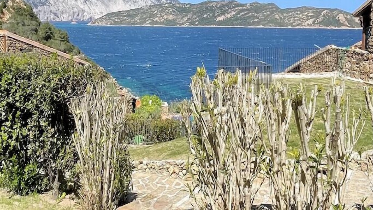 Photo of Outdoor in Capo Coda Cavallo