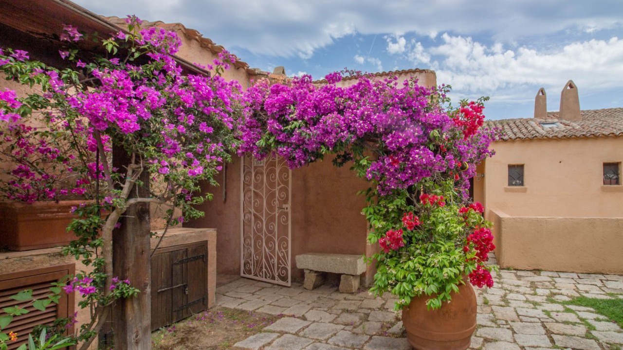 Photo of Outdoor in Liscia di Vacca