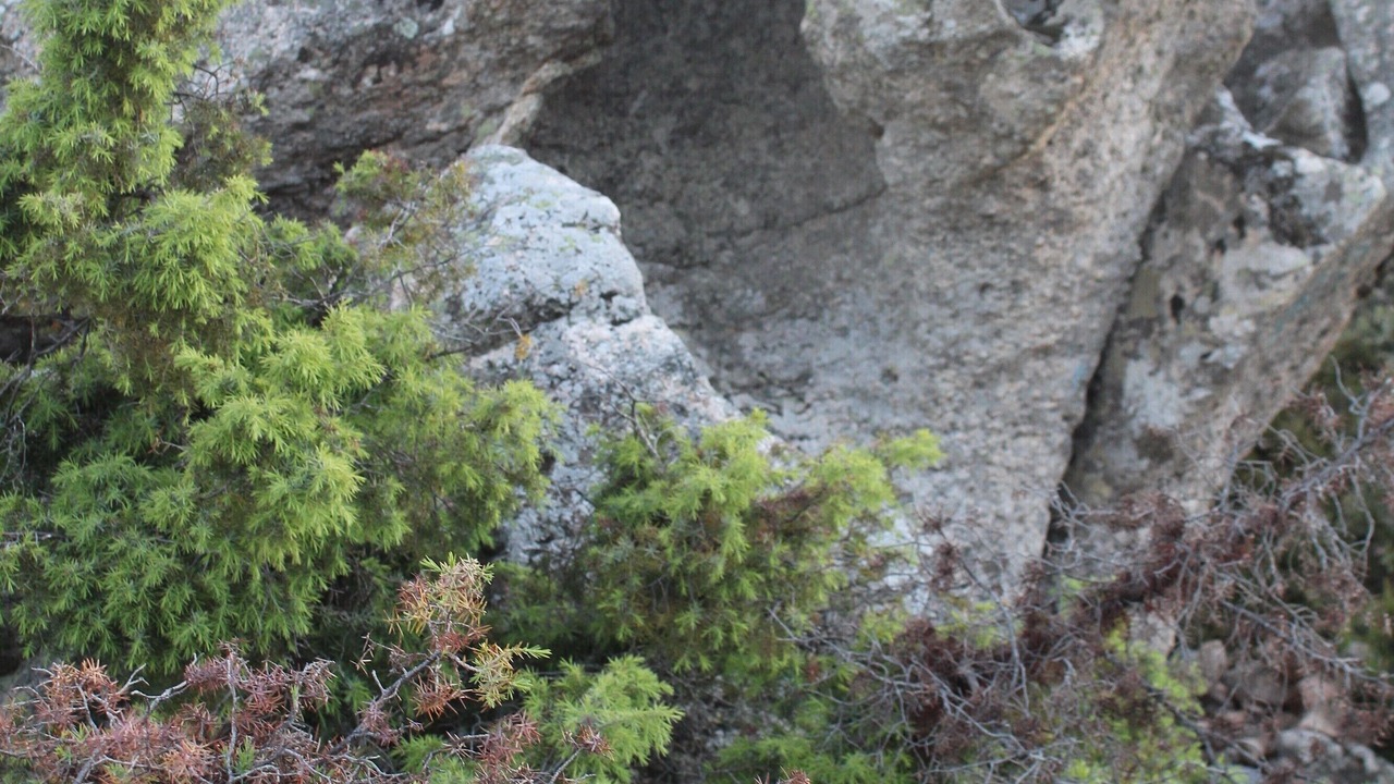 Photo of Others in Villanova Strisaili
