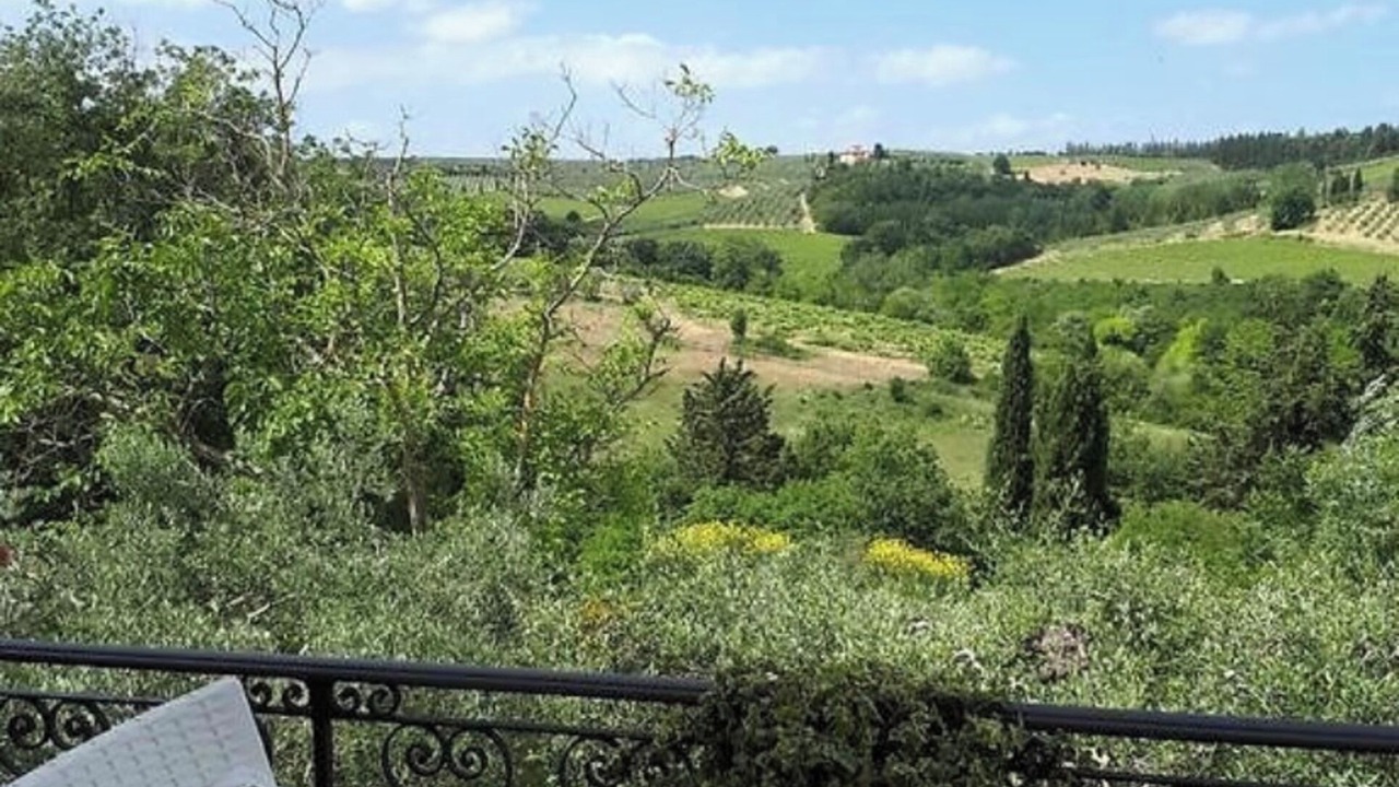 Photo of Outdoor in Romita