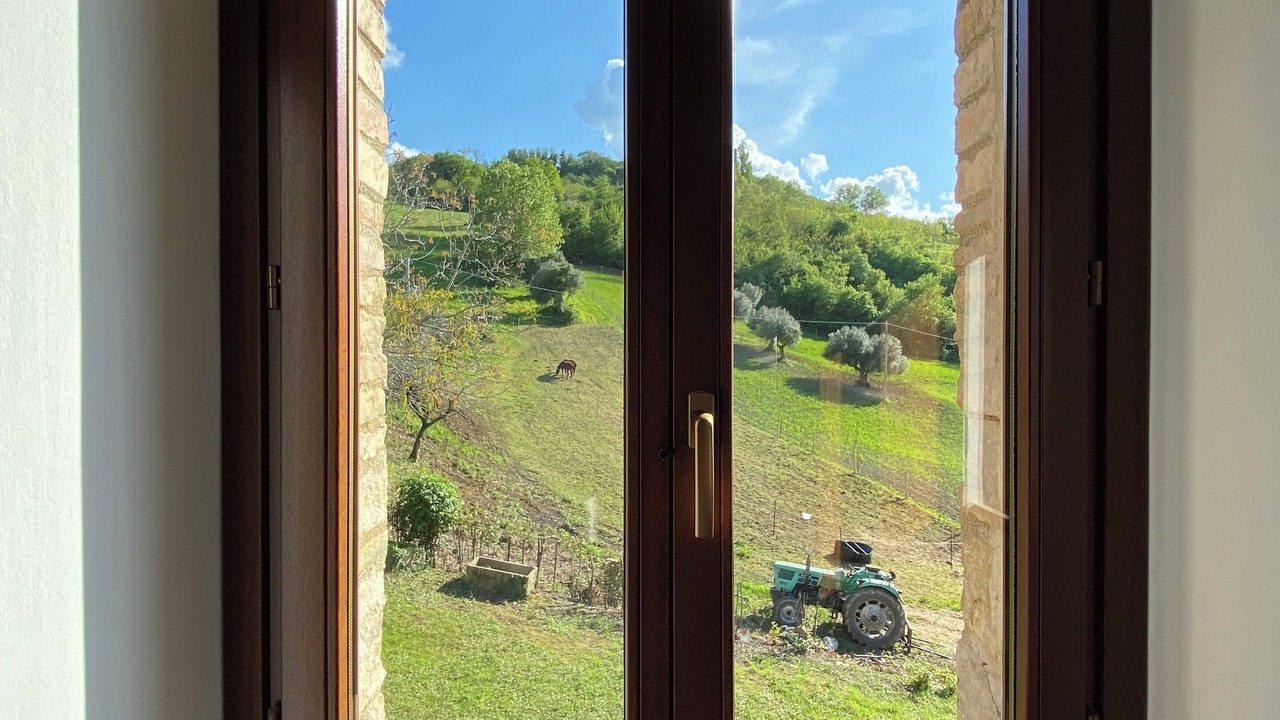 Photo of Others in Cingoli
