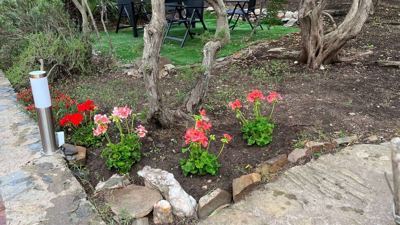 Photo of Outdoor in La Pelosa