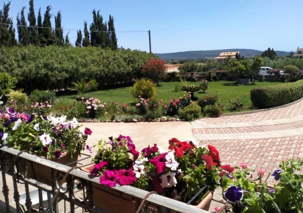 Photo of Outdoor in Olmedo