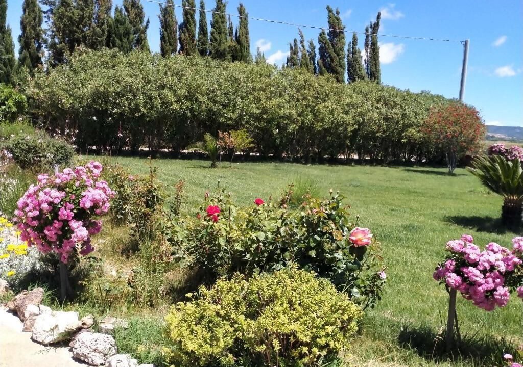 Photo of Outdoor in Olmedo