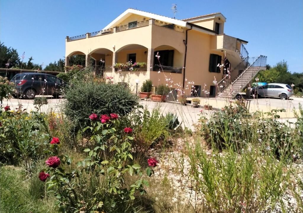 Photo of Outdoor in Olmedo