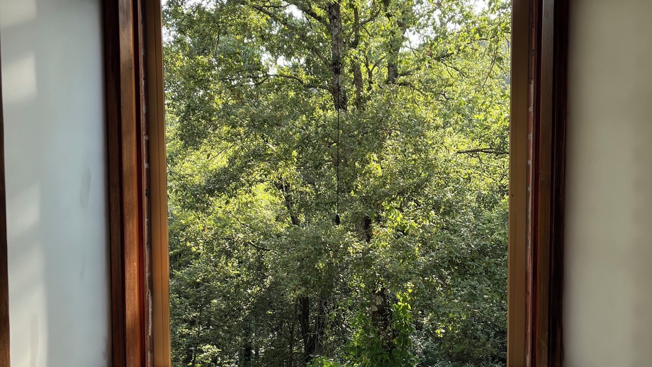 Photo of Others in Tuoro sul Trasimeno