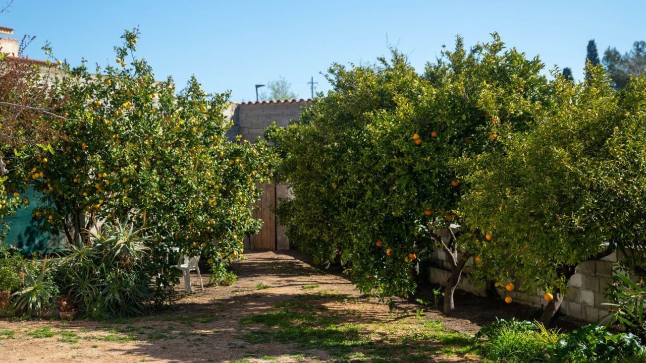 Photo of Outdoor in Loculi