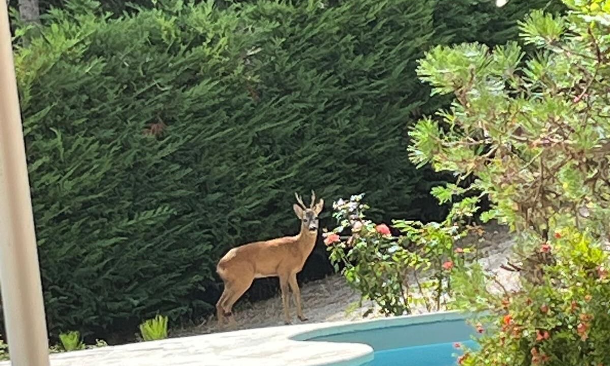 Photo of Outdoor in Montegiorgio
