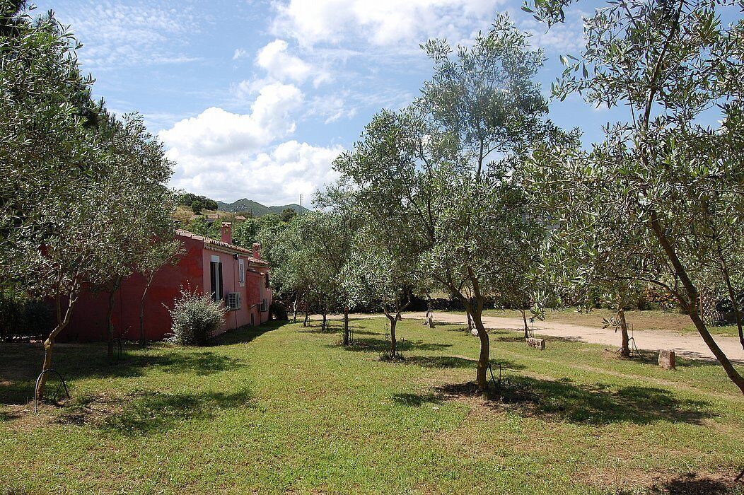 Photo of Outdoor in Loiri Porto San Paolo