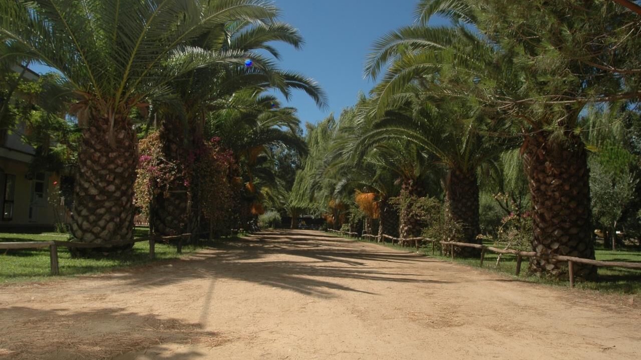 Photo of Others in Lotzorai