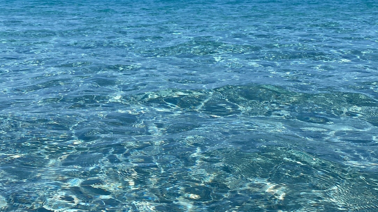 Photo of Others in Porto Pino