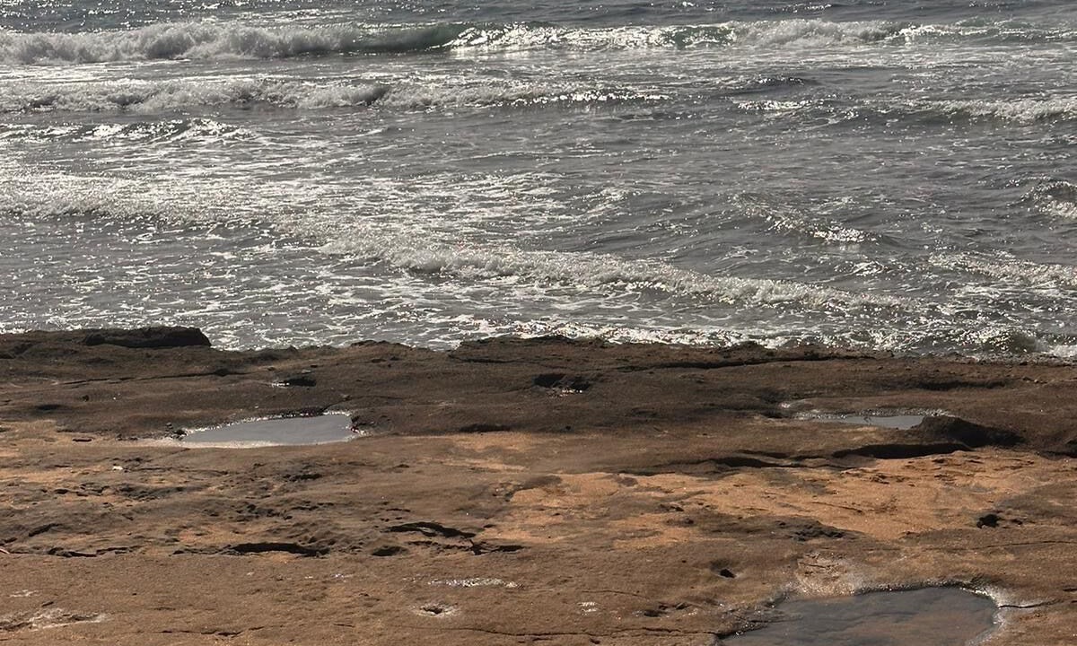 Photo of Others in Porto Alabe