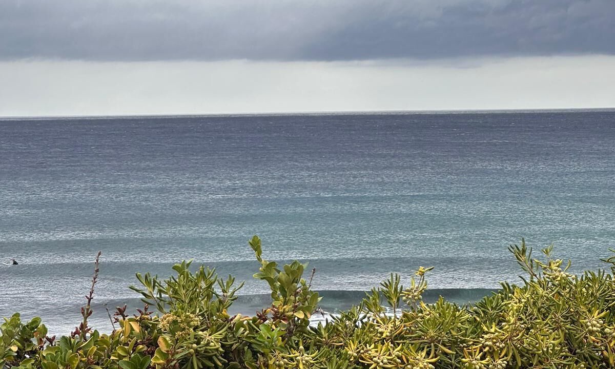 Photo of Others in Porto Alabe