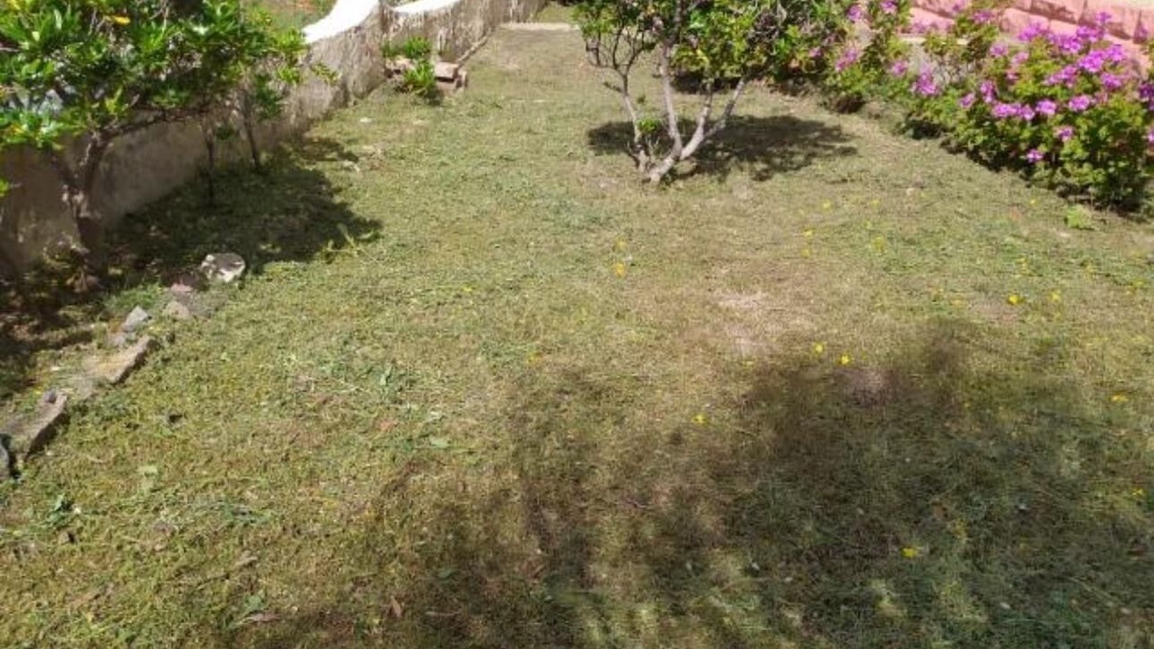 Photo of Outdoor in Porto Alabe
