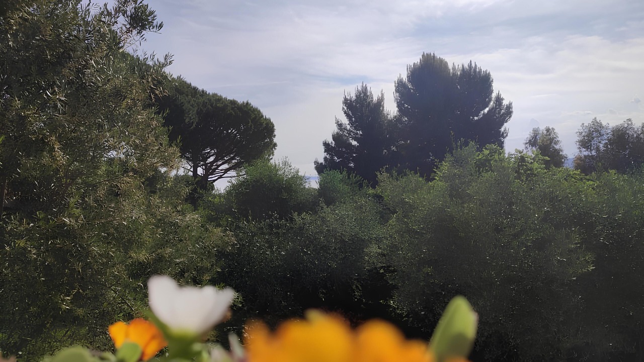 Photo of Others in Palombina Nuova