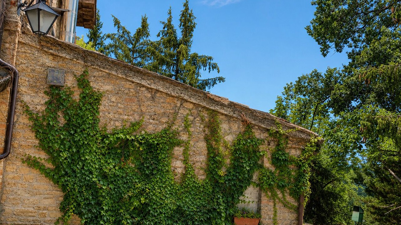 Photo of Outdoor in Montefalcone Appennino