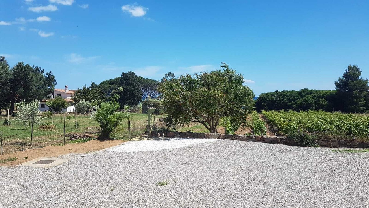 Photo of Others in Tertenia