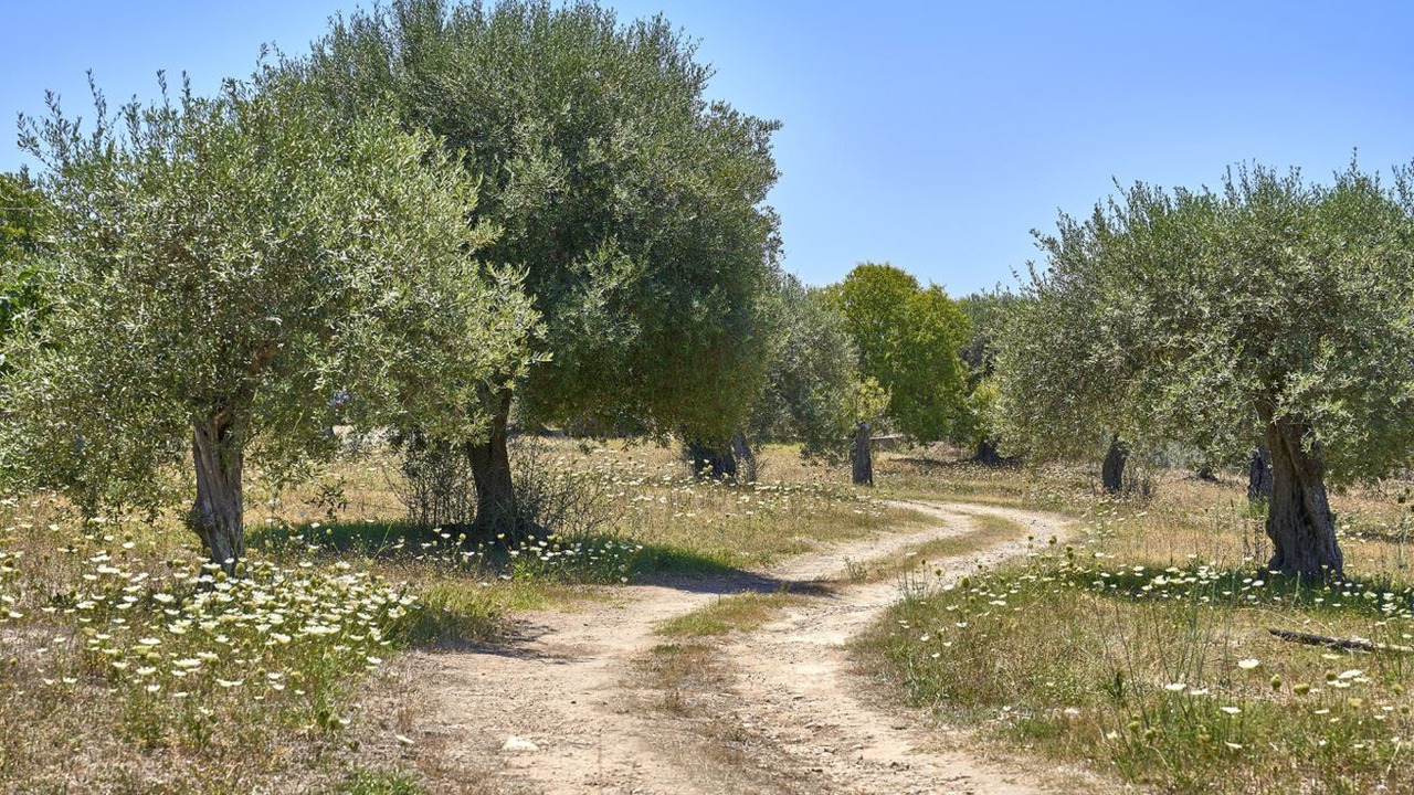 Photo of Others in Sassari