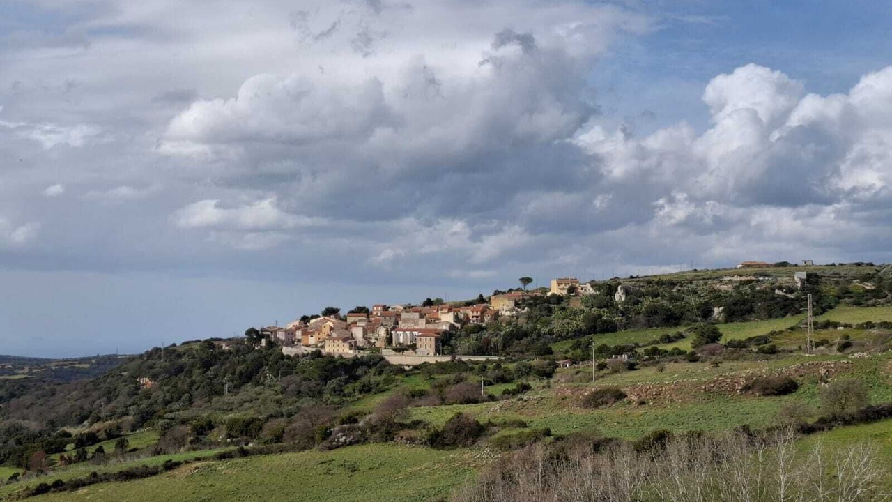 Photo of Others in Osilo