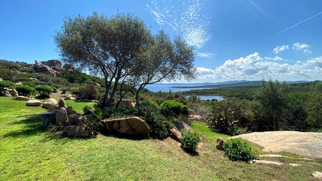 Photo of Outdoor in Santa Teresa di Gallura