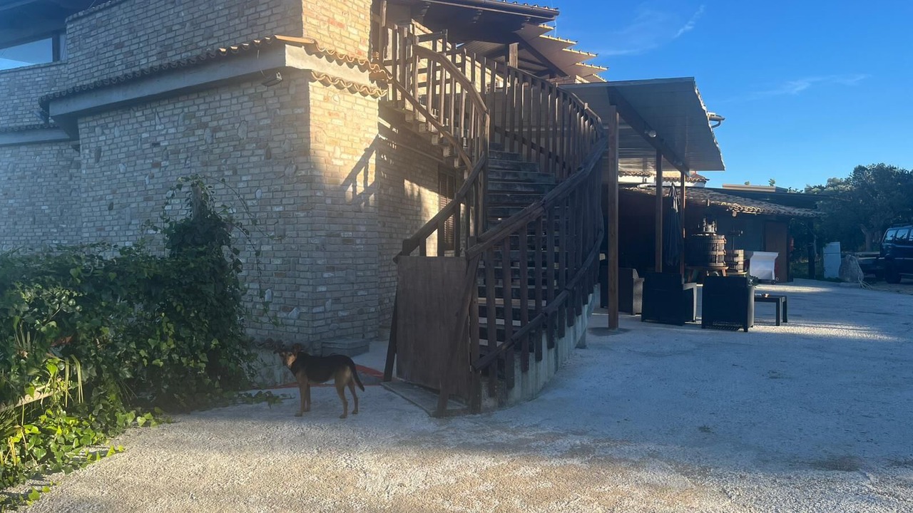 Photo of Outdoor in Vasto