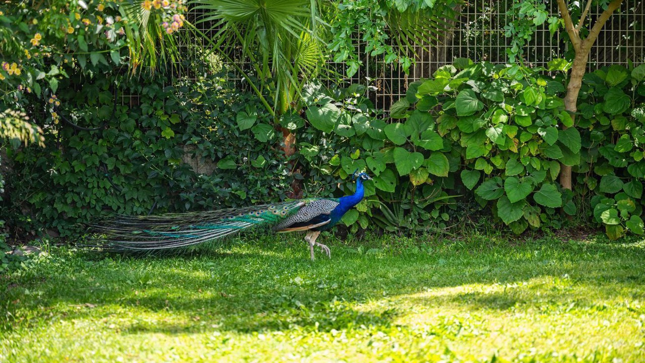 Photo of Outdoor in Villaggio delle Mimose