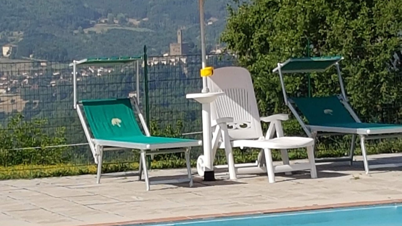 Photo of Outdoor in Poppi
