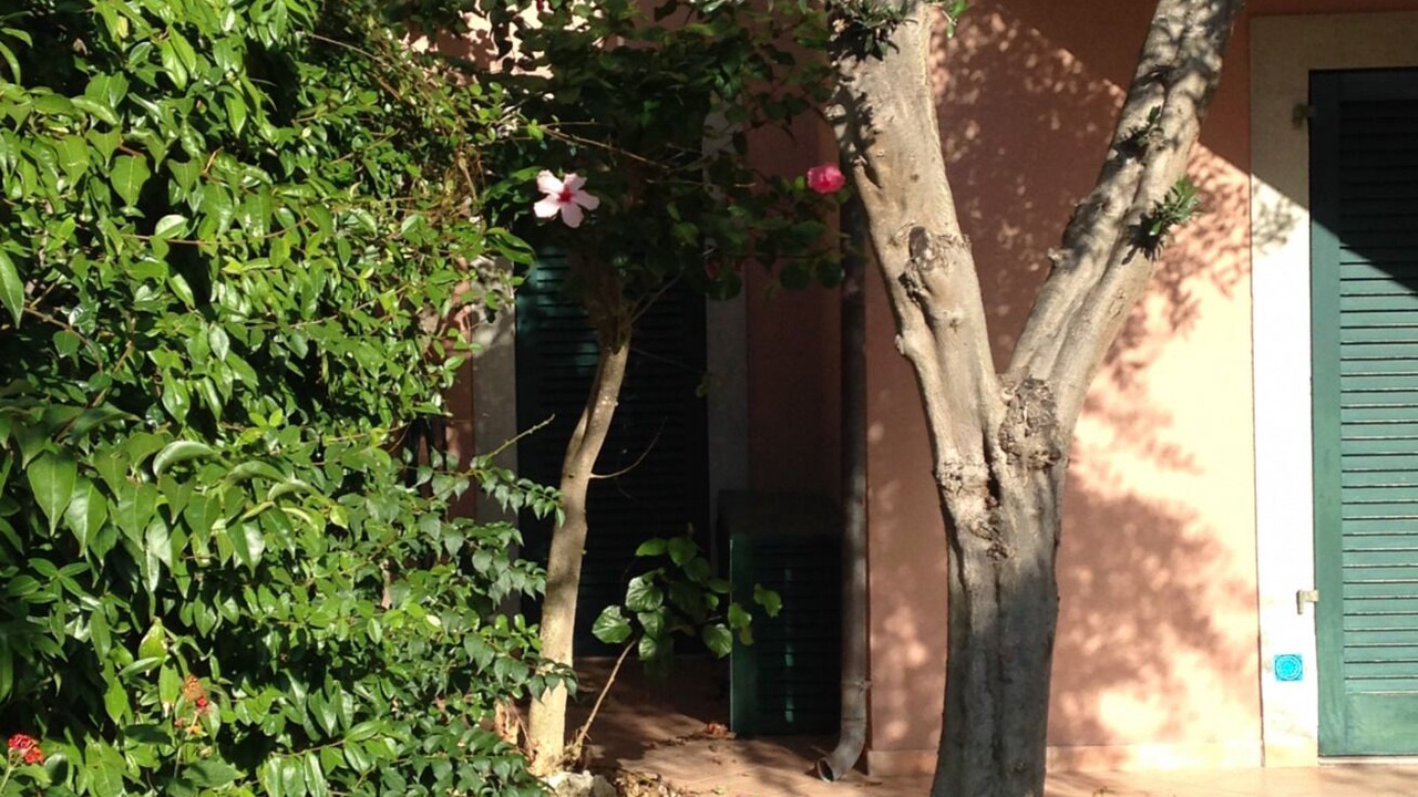Photo of Outdoor in Santa Teresa di Gallura