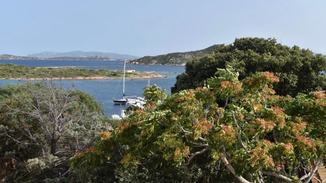 Photo of Others in La Maddalena