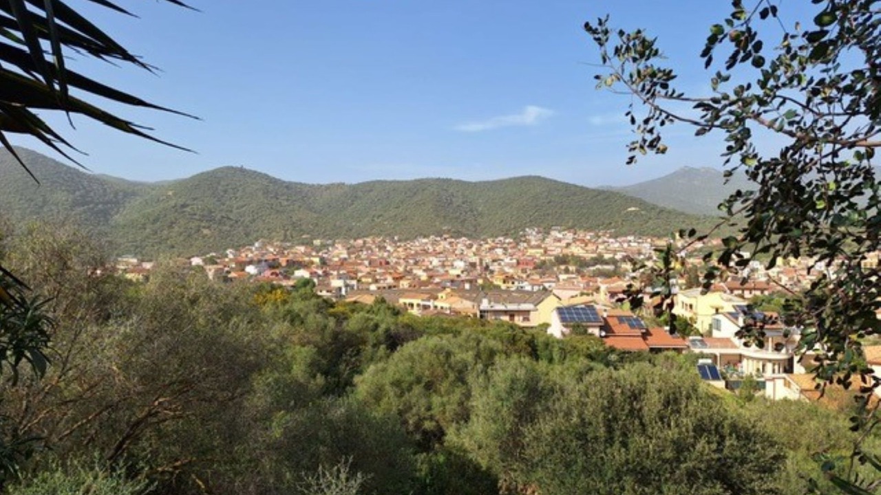 Photo of Others in Teulada