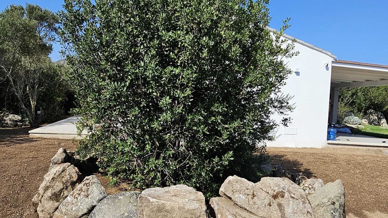 Photo of Outdoor in Cugnana Verde