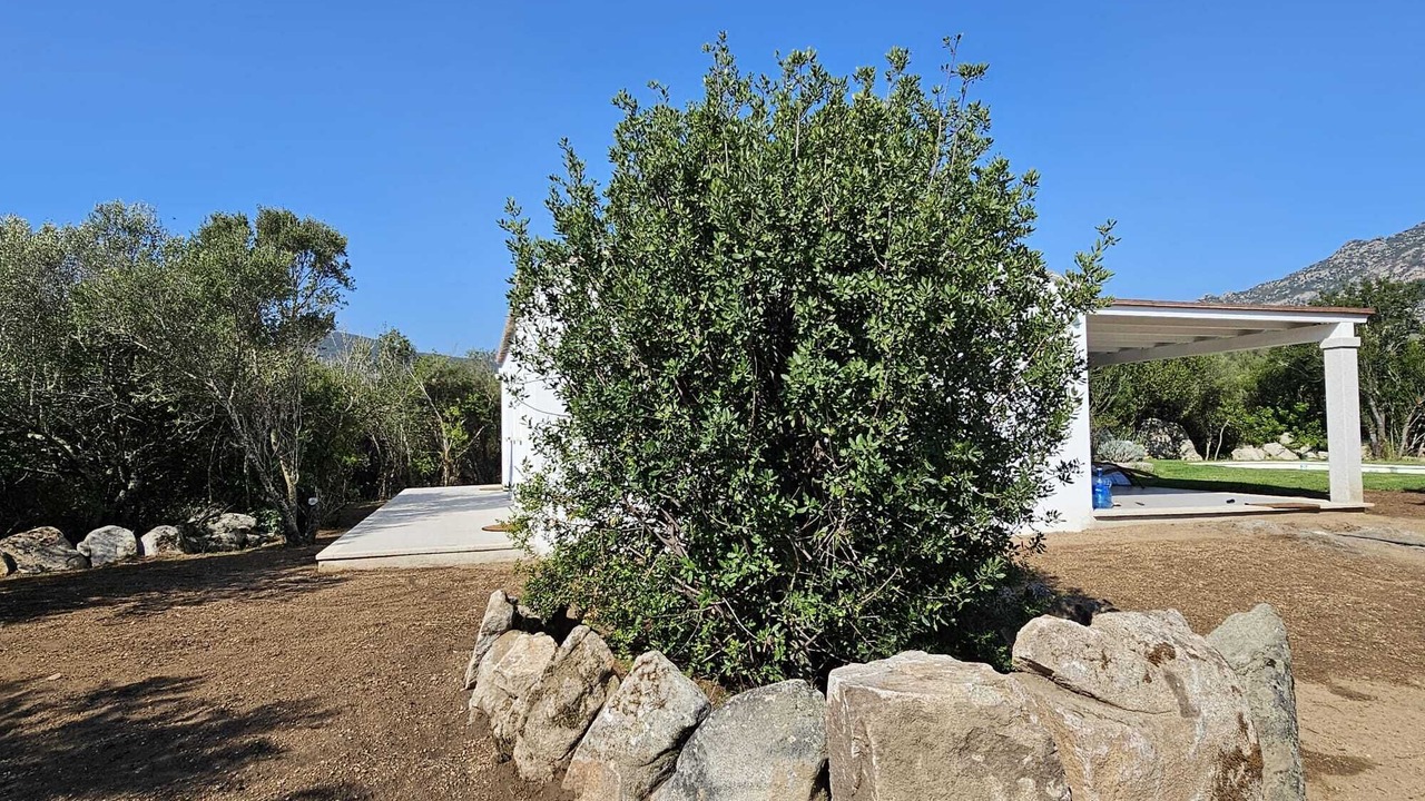 Photo of Outdoor in Cugnana Verde