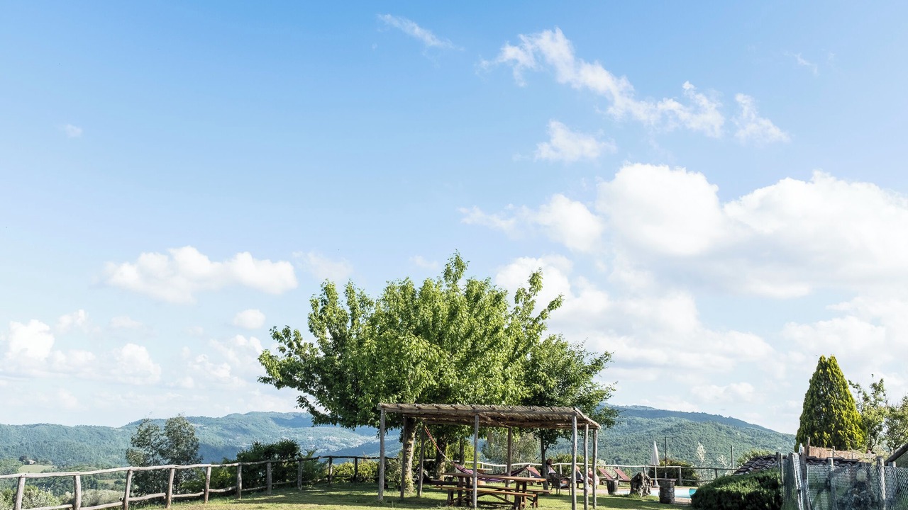Photo of Outdoor in Greve in Chianti