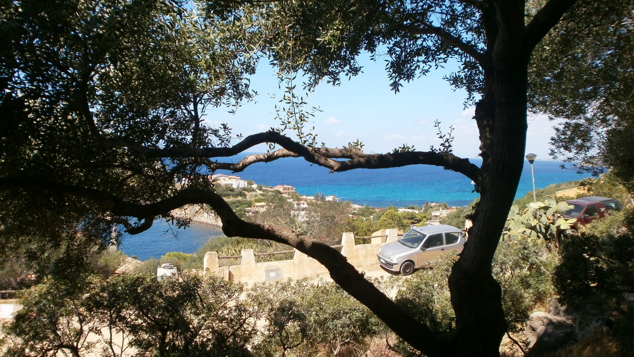 Photo of Outdoor in Torre delle Stelle