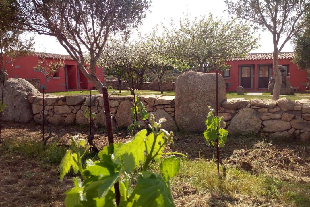 Photo of Others in Sa Castangia