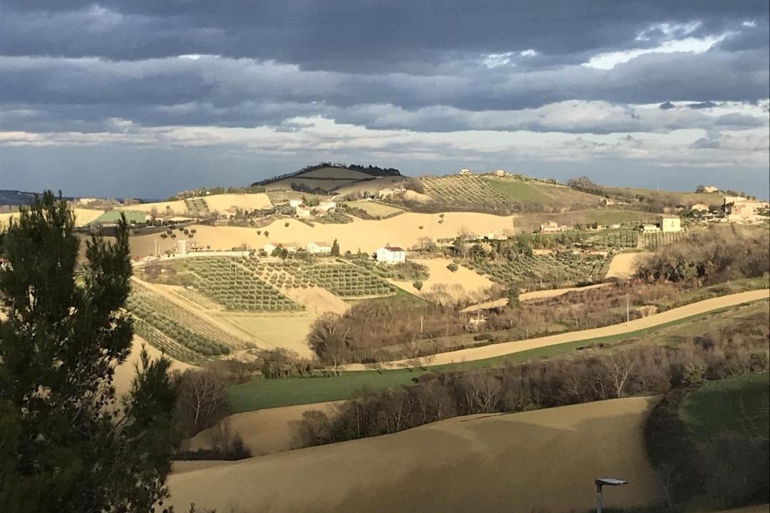 Photo of Others in Monte San Giusto