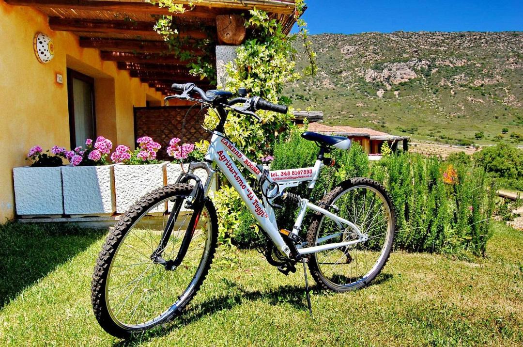 Photo of Others in San Teodoro