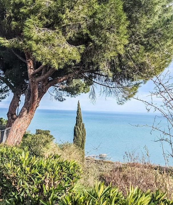 Photo of Others in Vasto