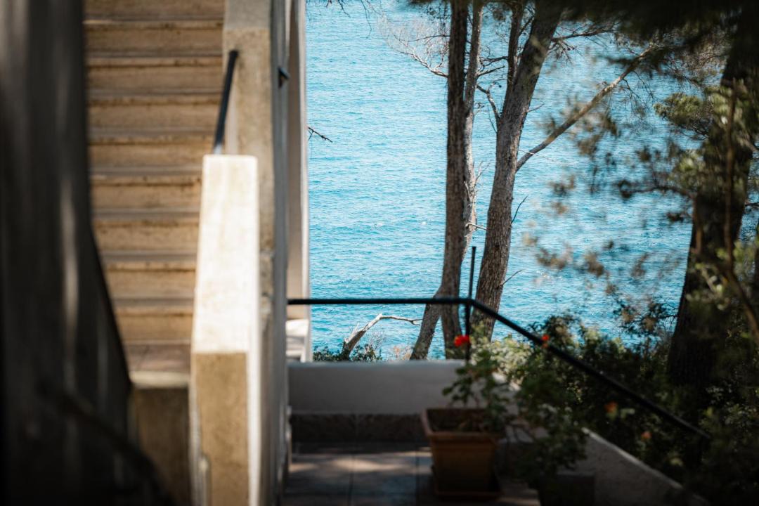 Photo of Others in Tremiti Islands