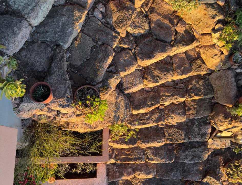 Photo of Others in Porto Alabe
