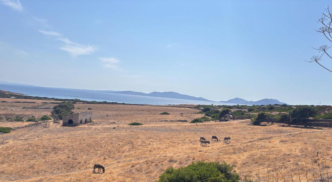 Photo of Others in Marina di Sorso