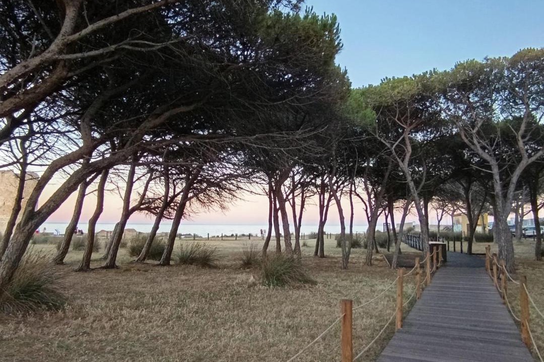 Photo of Others in La Caletta