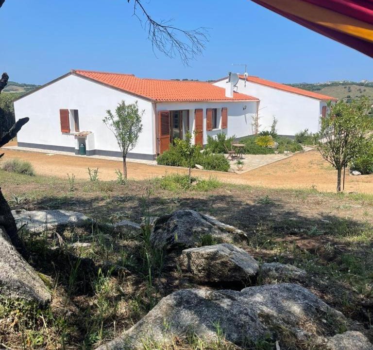 Photo of Others in Luogosanto