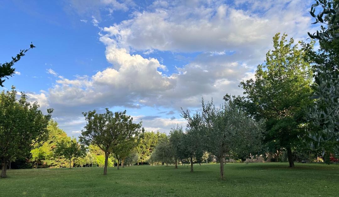 Photo of Others in San Giovanni In Marignano