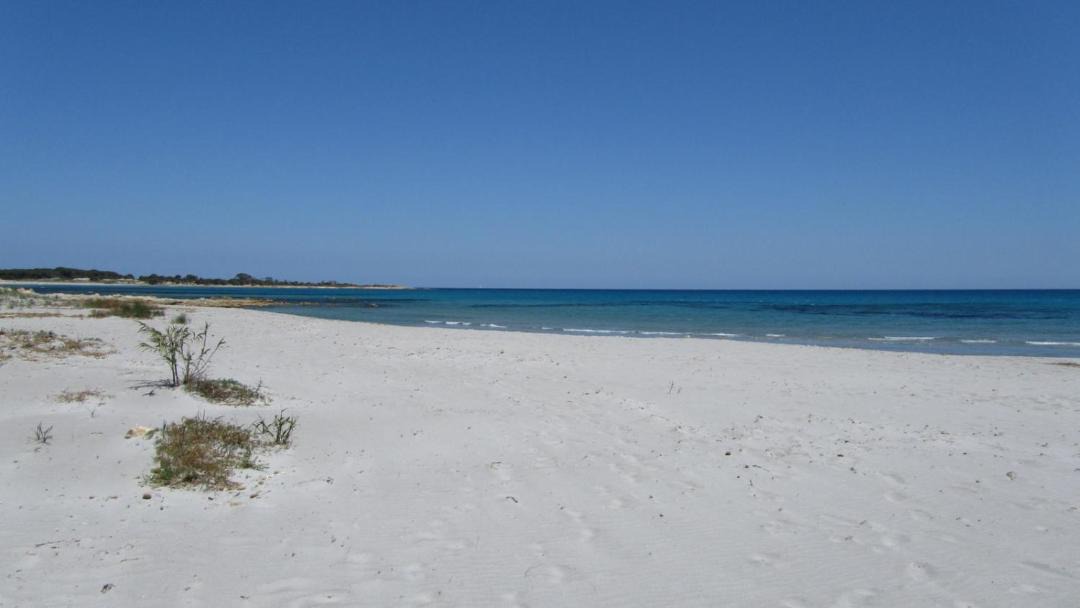 Photo of Others in Cala Liberotto