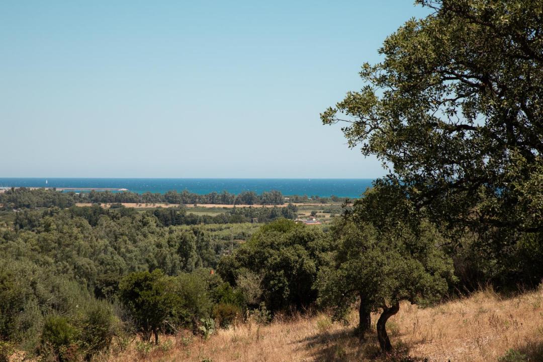 Photo of Others in Siniscola