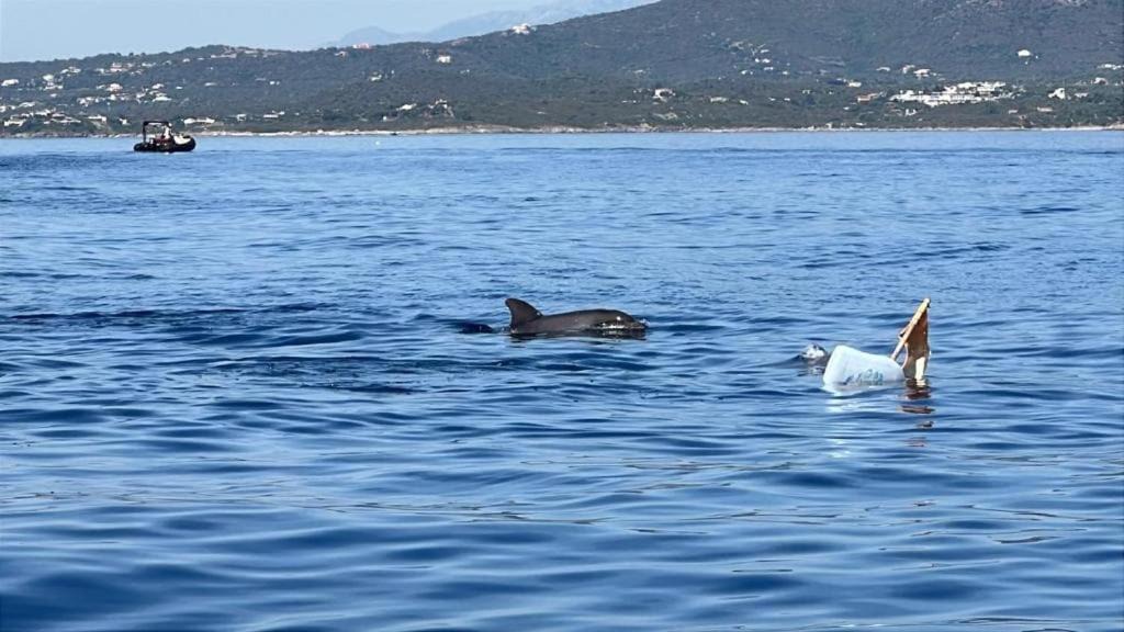 Photo of Others in Porto Istana