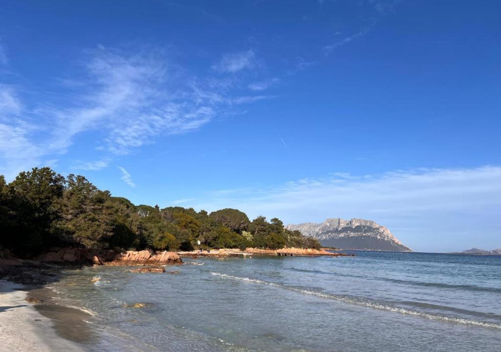 Photo of Others in Porto Istana